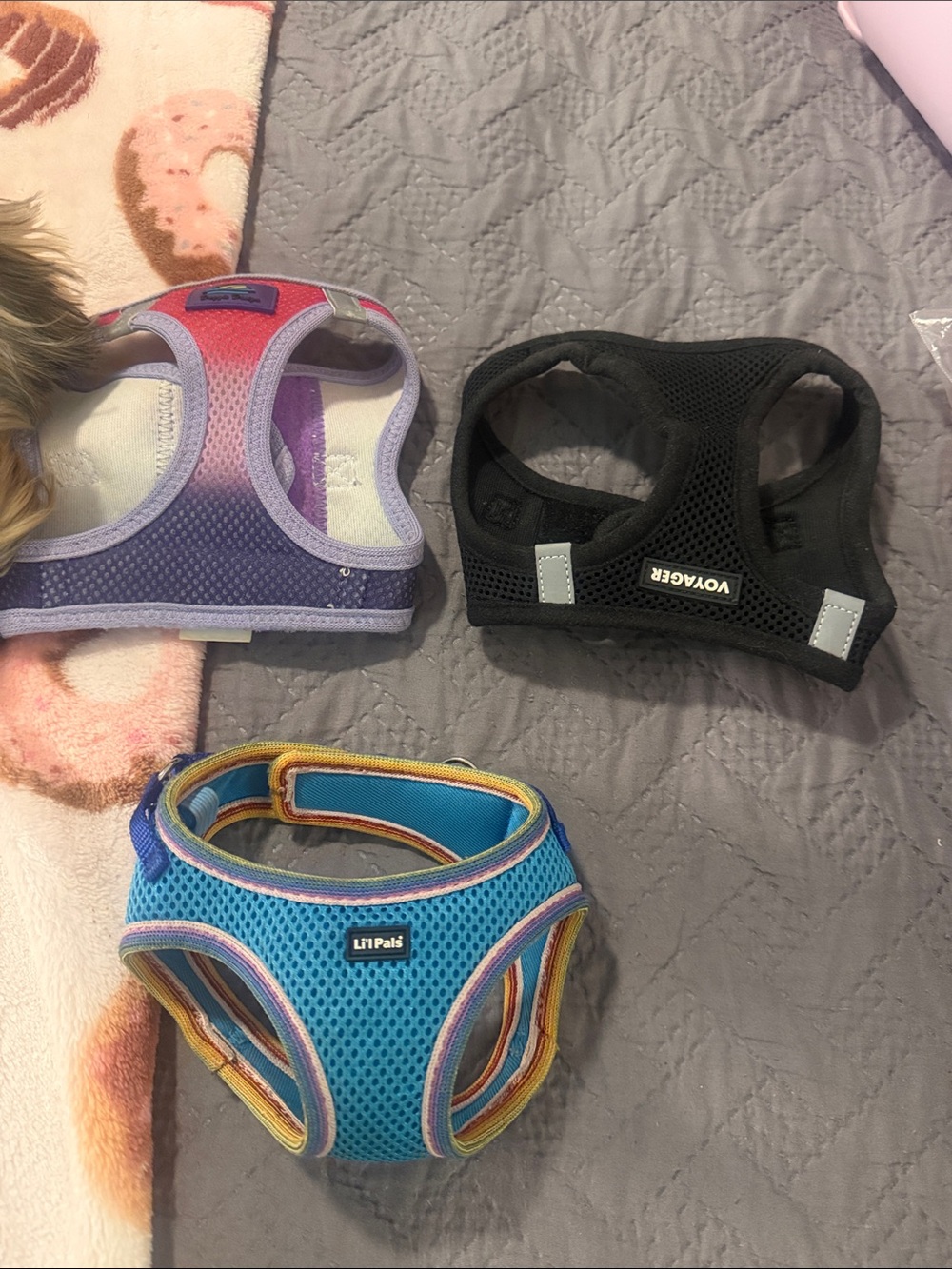 3 harness bundle Blue Mesh No-Pull Dog Harness with Reflective Trim